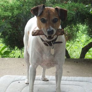 Meet your Posher, Sandy